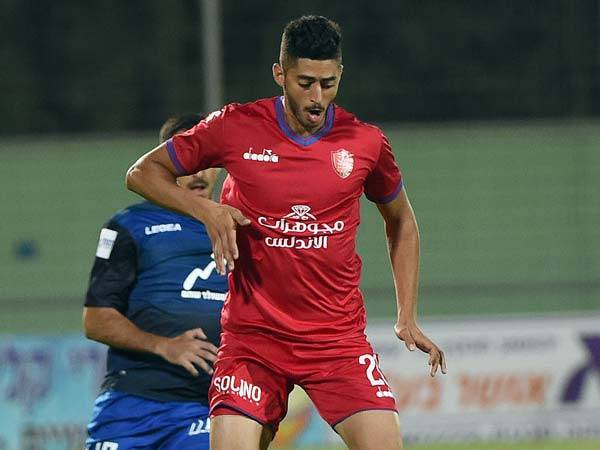 (ברני ארדוב)