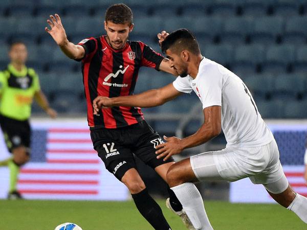 (ברני ארדוב)