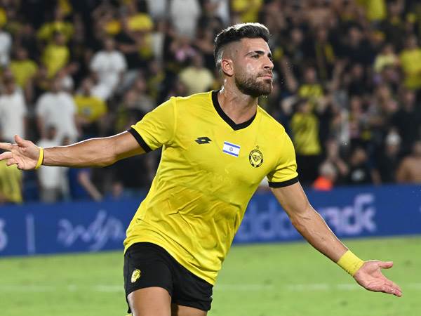 (צילום: אלן שיבר)