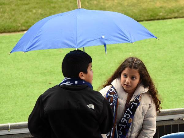 (ברני ארדוב)