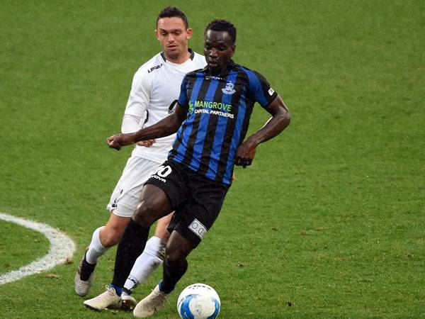 (ברני ארדוב)