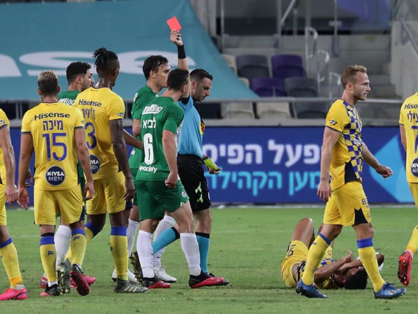 לא משחק שלביא ירצה לזכור (אלן שיבר)