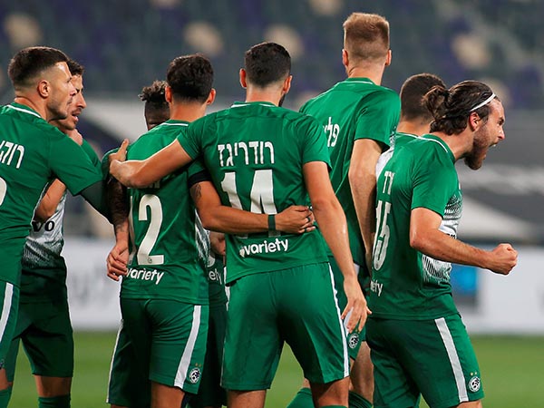 הירוקים חגגו מוקדם מדי (אלן שיבר)