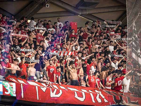 "מודאגים מההשפעות של הקהל" (אלן שיבר)