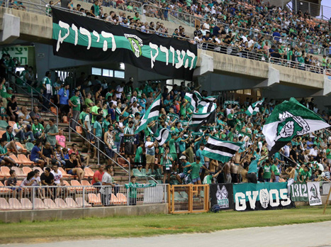 "העברנו את כל הקהל, כגוף אחד" (אלן שיבר)