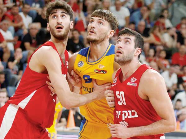 איפה ישחקו? (אלן שיבר)