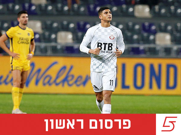 (אלן שיבר)
