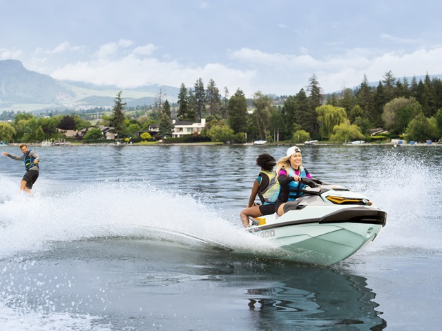 Wake 230