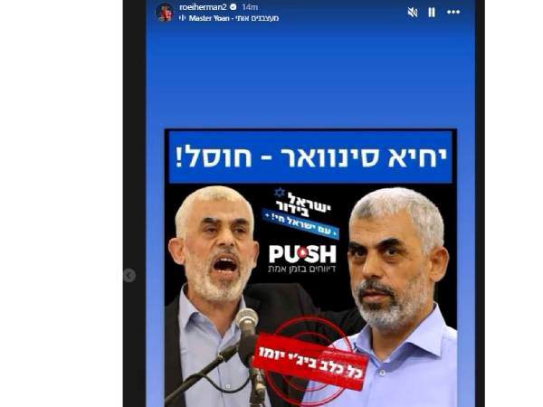 רועי הרמן