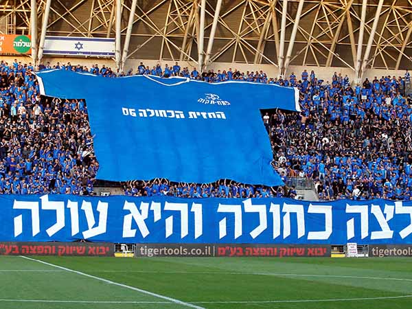 הצגה של האוהדים ביציע (אלן שיבר)