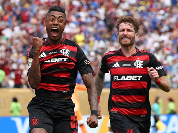 ונתקלה בפלמנגו (getty)