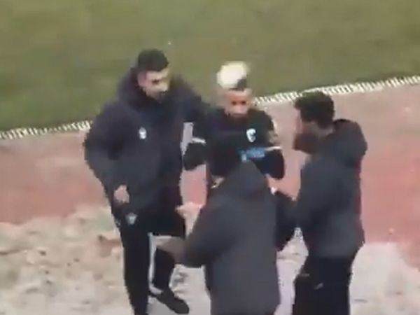 אפקט כדור השלג? הפגיעה בסבע (צילום מסך)