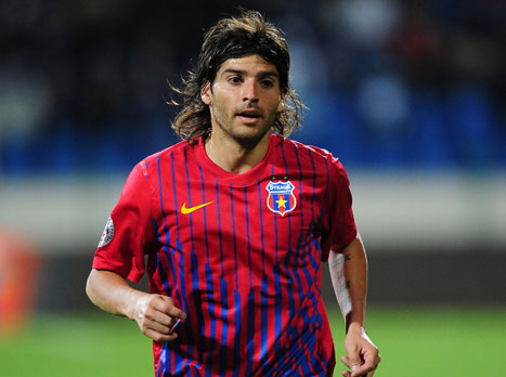 בקרוב בצהוב. בראנדן