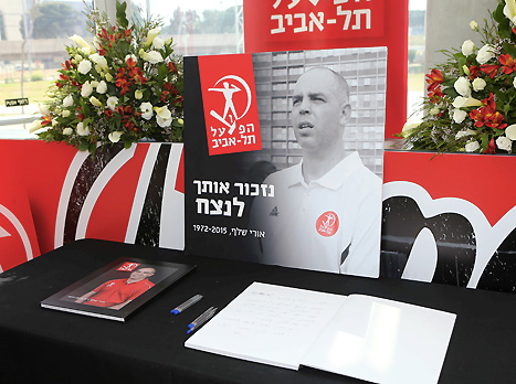 פרידה מכובדת (אלן שיבר)