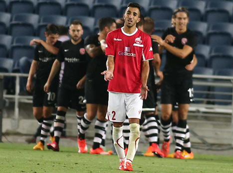 קיבל פרגונים. ביטון (אלן שיבר)