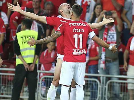 כך עושים זאת נכון (אלן שיבר)