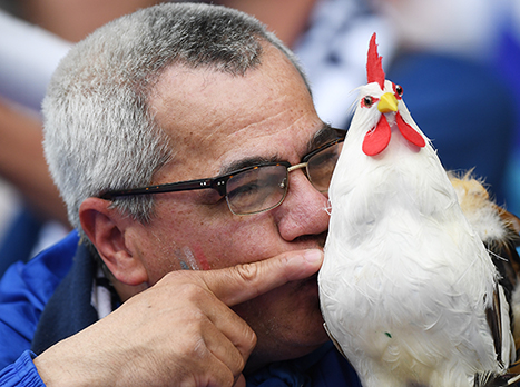 גם הקמע הצרפתי באיצטדיון (gettyimages)