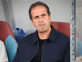 (ברני ארדוב)