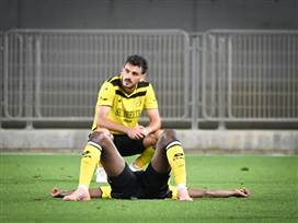 (ברני ארדוב)