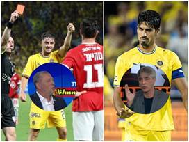 (אלן שיבר)