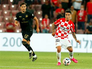 (צילום: אלן שיבר)