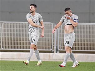 דין דוד ונטע לביא. השערים שלהם עשו את ההבדל (אלן שיבר)