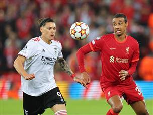 לא נפלו מהמארחים (GETTY)