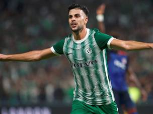 דוד כבר ראה את השוויון (צילום: אלן שיבר)