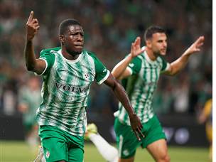 דין דוד כבש (צילום: אלן שיבר)