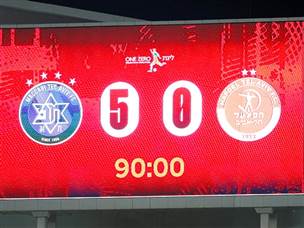 חגיגה בצהוב (צילום: אלן שיבר)