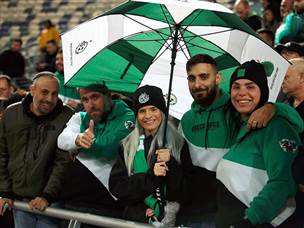 בצהוב ובירוק (צילום: אלן שיבר)