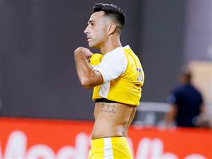 תרומה פושרת. זהבי (אלן שיבר)