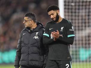 גומז נפצע ברגע היחידי שהעיב על הניצחון של ליברפול (Getty)