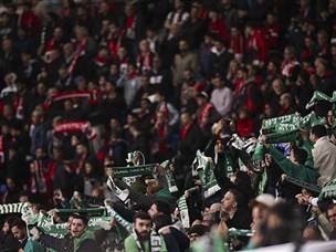 שני המחנות (מאור אלקסלסי)