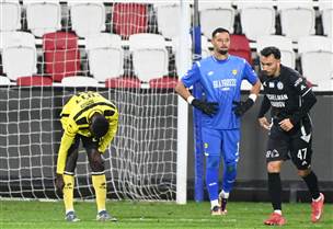 נתניה אובדת עצות (ברני ארדוב)