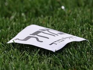 הליכוד חזק בטדי, בית"ר חלשה בטדי (דני מרון)