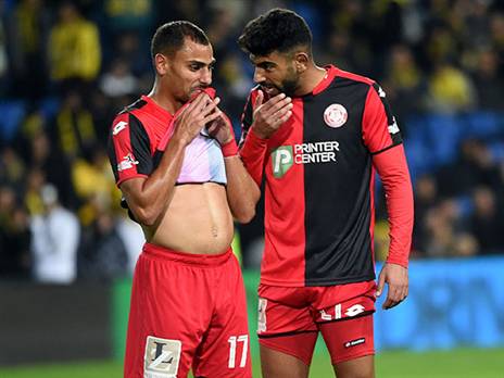 (ברני ארדוב)