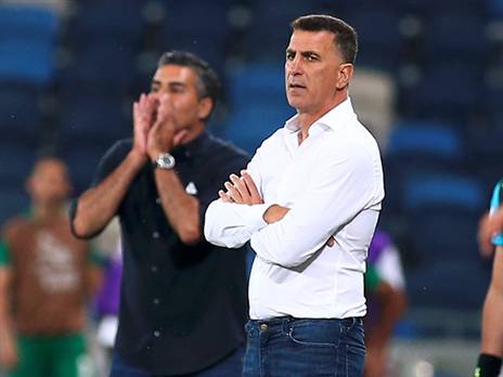 "צופה למכבי חיפה עתיד טוב". בלבול (אלן שיבר)