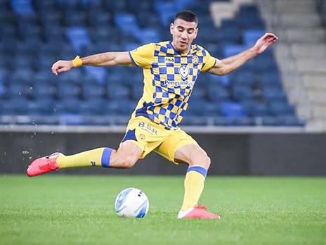 טיבי. החומה במערך של איביץ' (אלן שיבר)