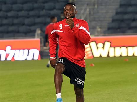 לא יגיע לגליל? אגאדה (צילום: ברני ארדוב)