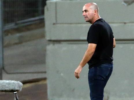 (אודי ציטיאט)