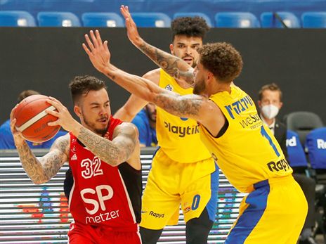 (צילום: אלן שיבר)