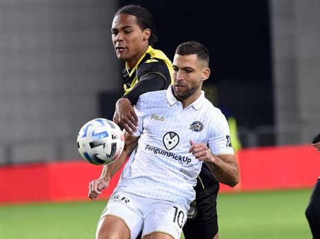 שכטר. ימשיך בהתקפה (ברני ארדוב)