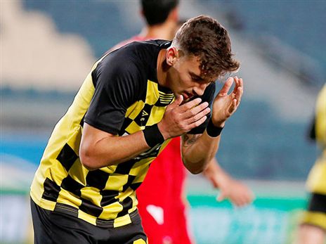 שועה. שנה של שקט (אלן שיבר)