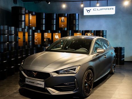 (יוסי מויאל)