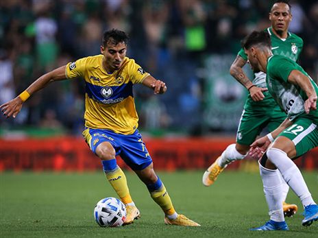 עשוי לפתוח בחלק הקדמי. חוזז (מאור אלקסלסי)