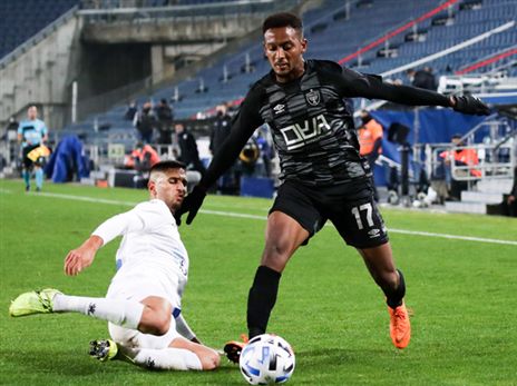 פרדו. בתמונת ההרכב להפועל חיפה (דני מרון)