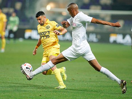 לא יחזור העונה. ריקן (אלן שיבר)