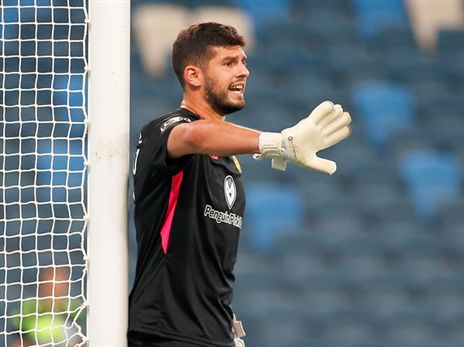 טננבאום. הועדף על מרציאנו (אלן שיבר)