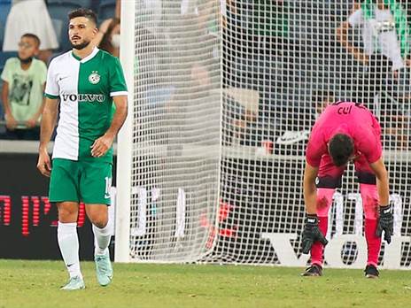 הירוקים אוספים את השברים (אלן שיבר)